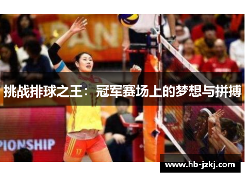 挑战排球之王：冠军赛场上的梦想与拼搏
