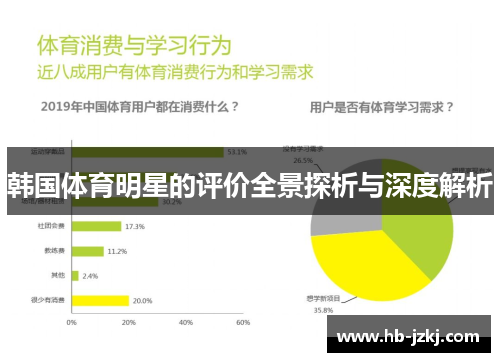 韩国体育明星的评价全景探析与深度解析